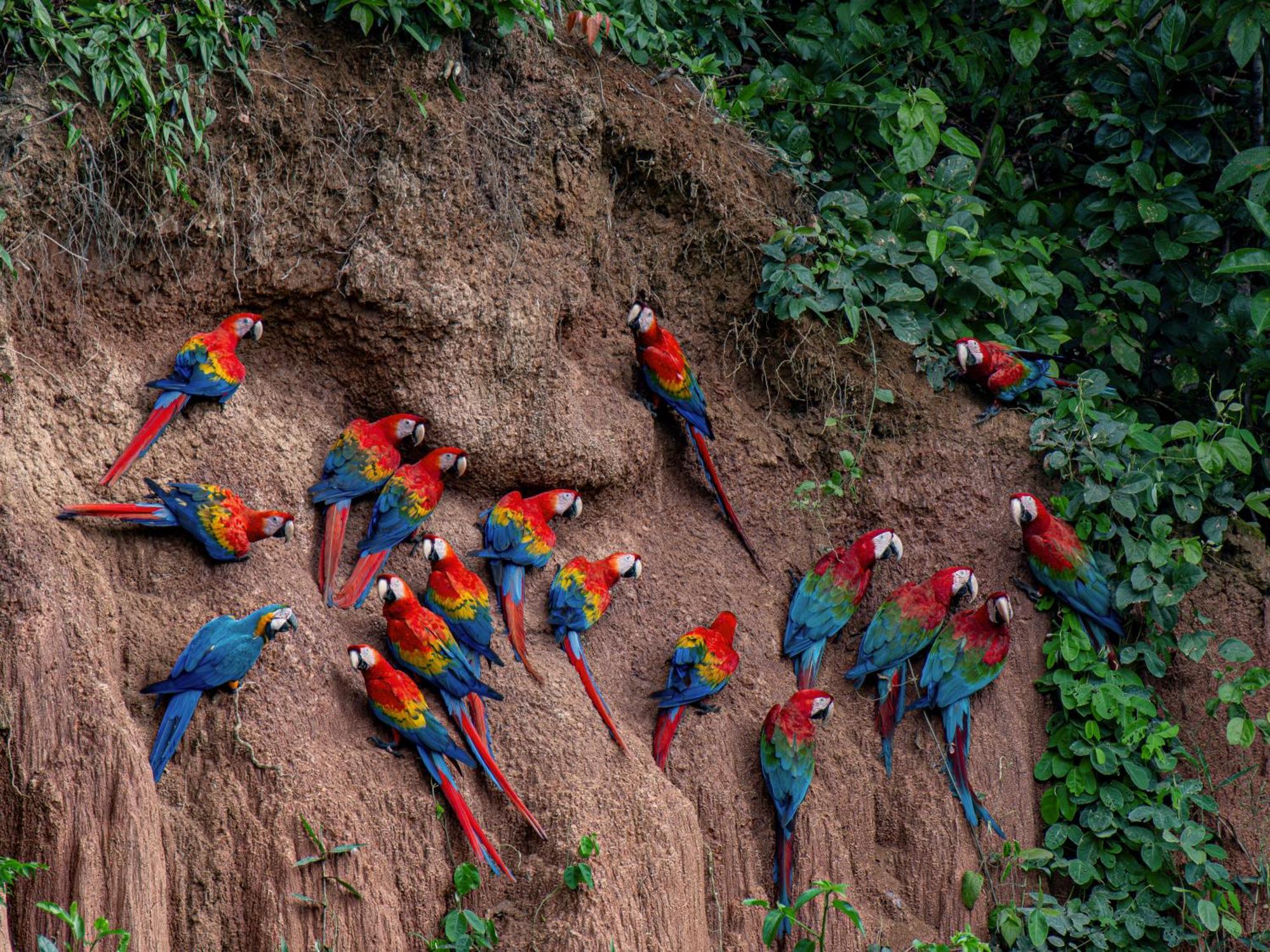 Вилла Tambopata Research Center Экстерьер фото